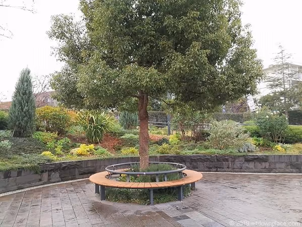 ブラフ99ガーデンの写真4