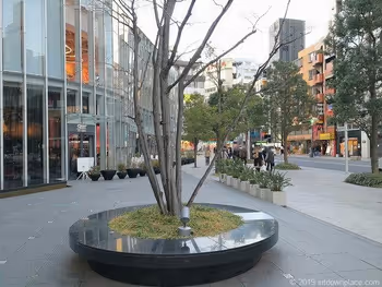 赤坂Bizタワー前一ツ木通り側のベンチと景観