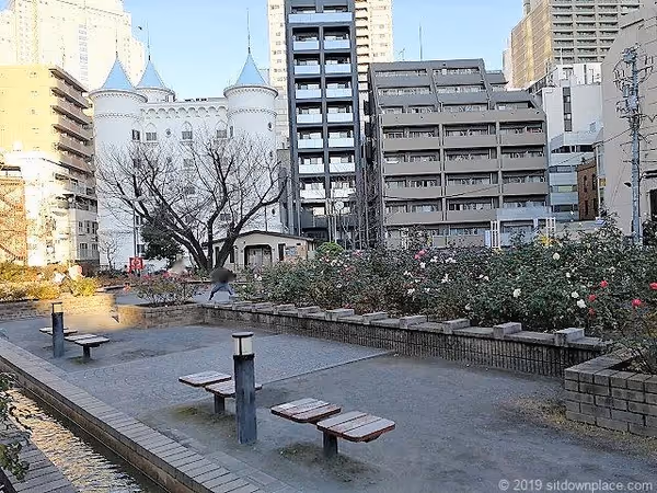 Foto von 赤坂氷川公園 4