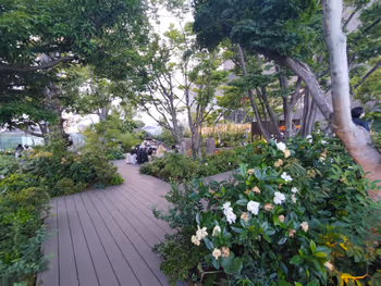 おもはらの森の景観