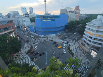 おもはらの森から見える神宮前交差点
