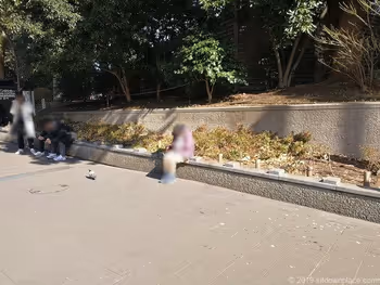 우에노 은사 공원 개구리 분수 광장 부근의 벤치