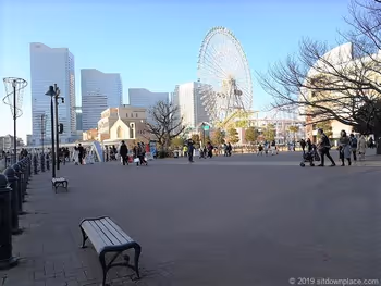 運河パーク全体