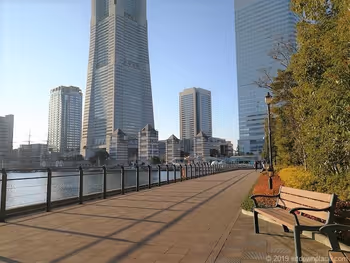 아니베르셀 카페 앞의 나무 벤치에서 랜드마크 타워 경관