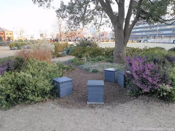 신코 중앙 광장의 화단