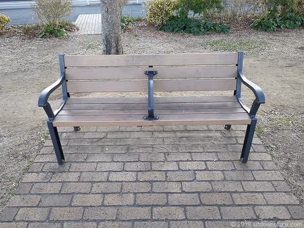 新港中央広場の写真5