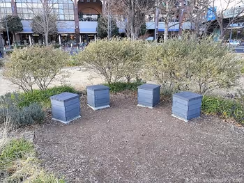 신코 중앙 광장의 의자