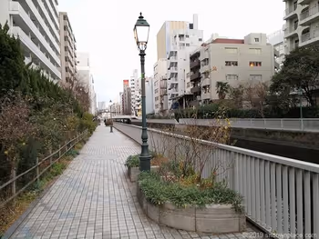 新芝浦運河 新芝橋~藻塩橋の写真2