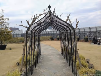 Pergola in Q-COURT at Shinjuku Marui Main Building