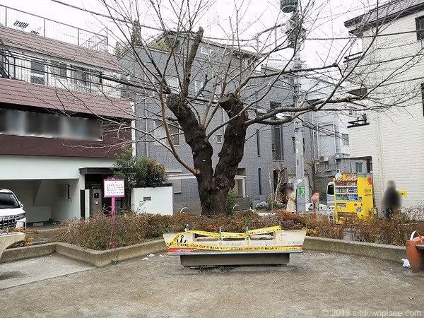 Photo de 代々木みどり公園 4