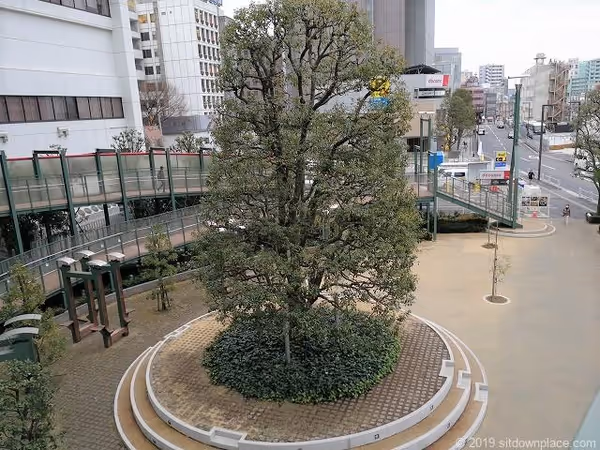Photo of Yoyogi Station | Rest Spot in the Plaza Next to Takashimaya Times Square 6