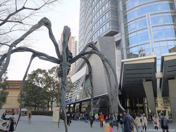 66プラザ 六本木ヒルズの写真1