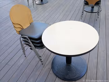 六本木ヒルズアリーナのテーブル席