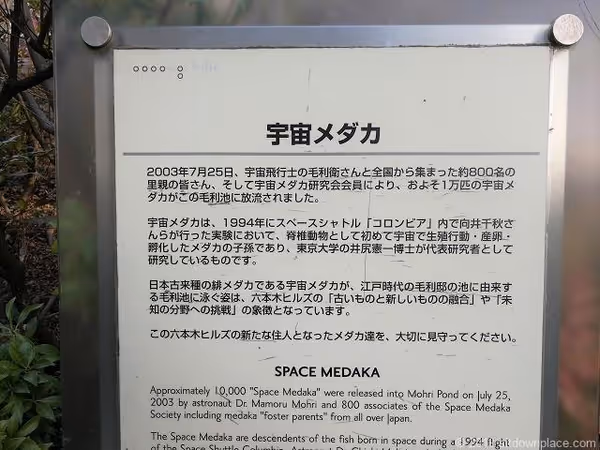 毛利庭園の写真4