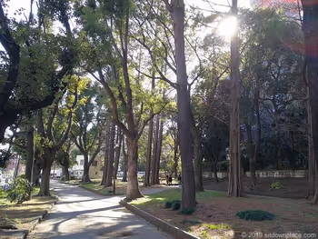 芝公园23号地的景观