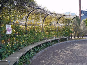 Bench in Shiba Kyusho Park