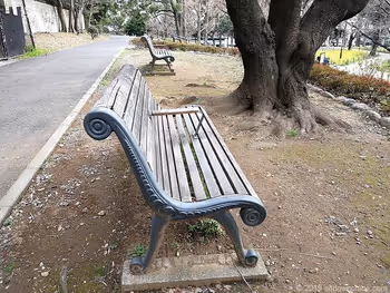 Bench near Shiba Park Benten Pond