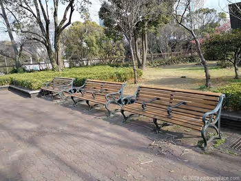 芝公園18号地の広場の休憩スペース