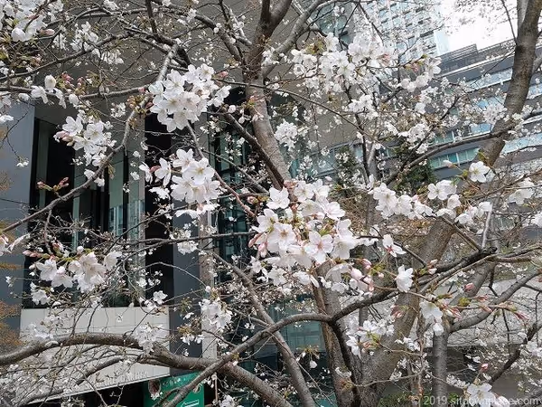 Photo of Kyobashi Station | Tokyo Square Garden Underground Station | Plaza Rest Spot 4