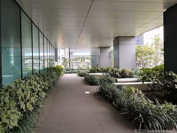 도쿄 스퀘어 가든 교바시 언덕의 휴식 장소