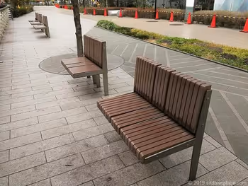 生態博物館的長椅