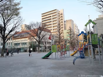 小島公園的遊樂設施和景觀