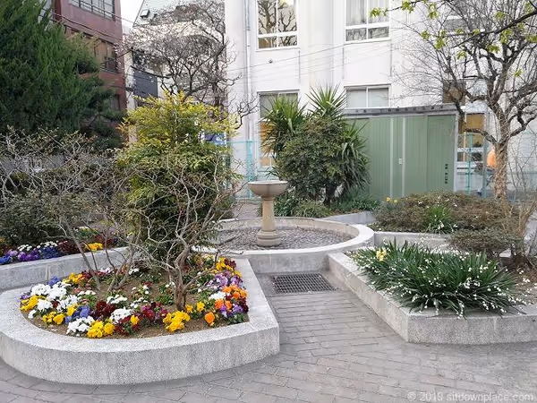 小島公園の写真5