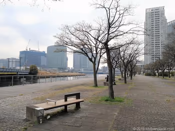 포트사이드 공원의 경관과 벤치