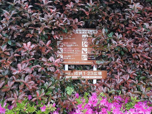 Foto von 成城1-23広場 4