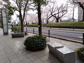 사쿠라 테라스 1F의 휴식 장소