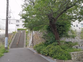 生田三田第7公園前的街道