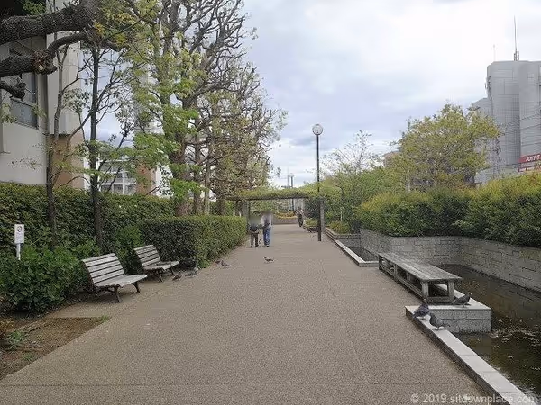 五ヶ村堀緑地の写真4