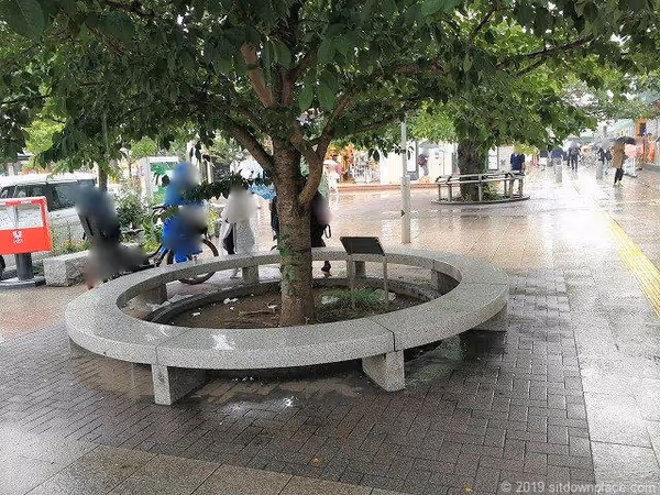 駅前広場の写真1