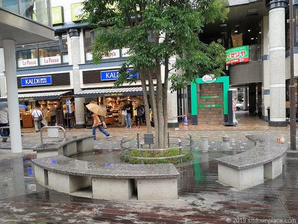 ぴぽっと仙川 猿田彦珈琲付近の写真2