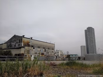 産廃業者とコットンハーバー