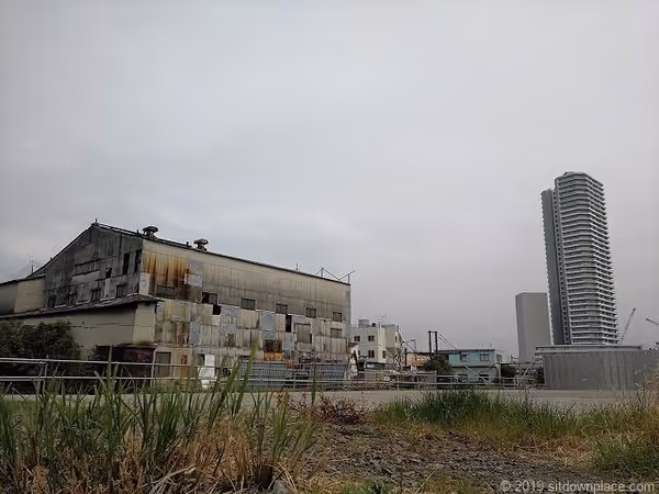 星野橋のベンチの写真4