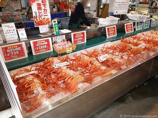 万代口バスターミナル付近の写真3