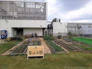ルミネ北千住屋上広場の屋上菜園