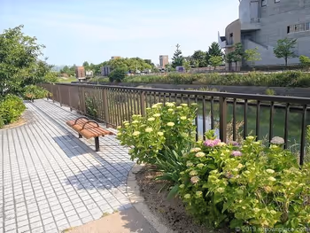 いたち川的花坛和椅子