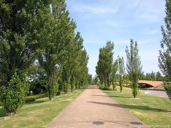 環水公園卡納爾公園的水杉林蔭道