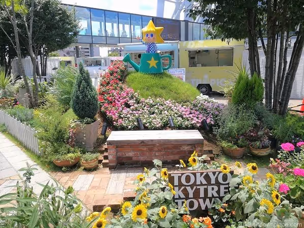 Foto von 【スカイツリー】ソラマチ4F 8番地 スカイアリーナ 3