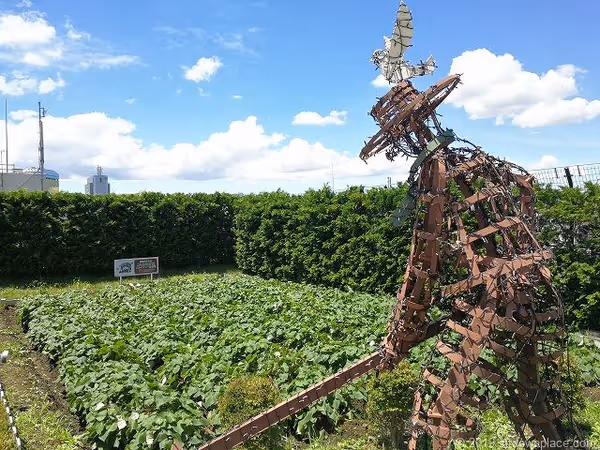 【スカイツリー】ソラマチ5F ファームガーデンの写真3