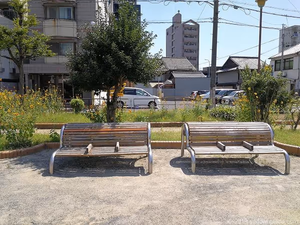 牧野公園の写真5