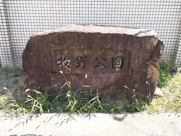 牧野公園の写真2