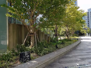 ルーセントタワー公開空地の日陰のベンチ