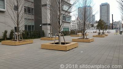 中野中学グランド前広場の写真1