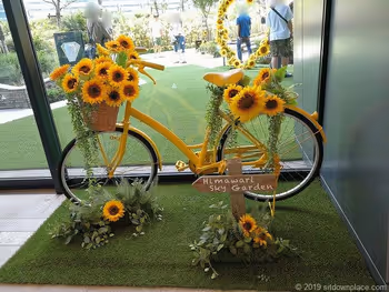 大名古屋ビルヂングスカイガーデン入口のひまわりと自転車