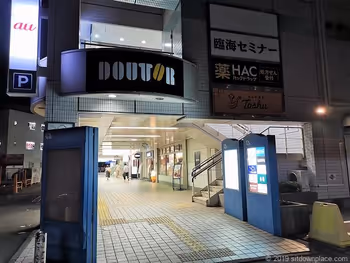 신즈시 니트의 외관