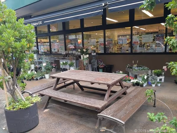 Odakyu OX前の写真2