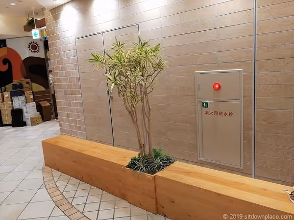 ハルネ小田原 うめまる広場周辺の写真5